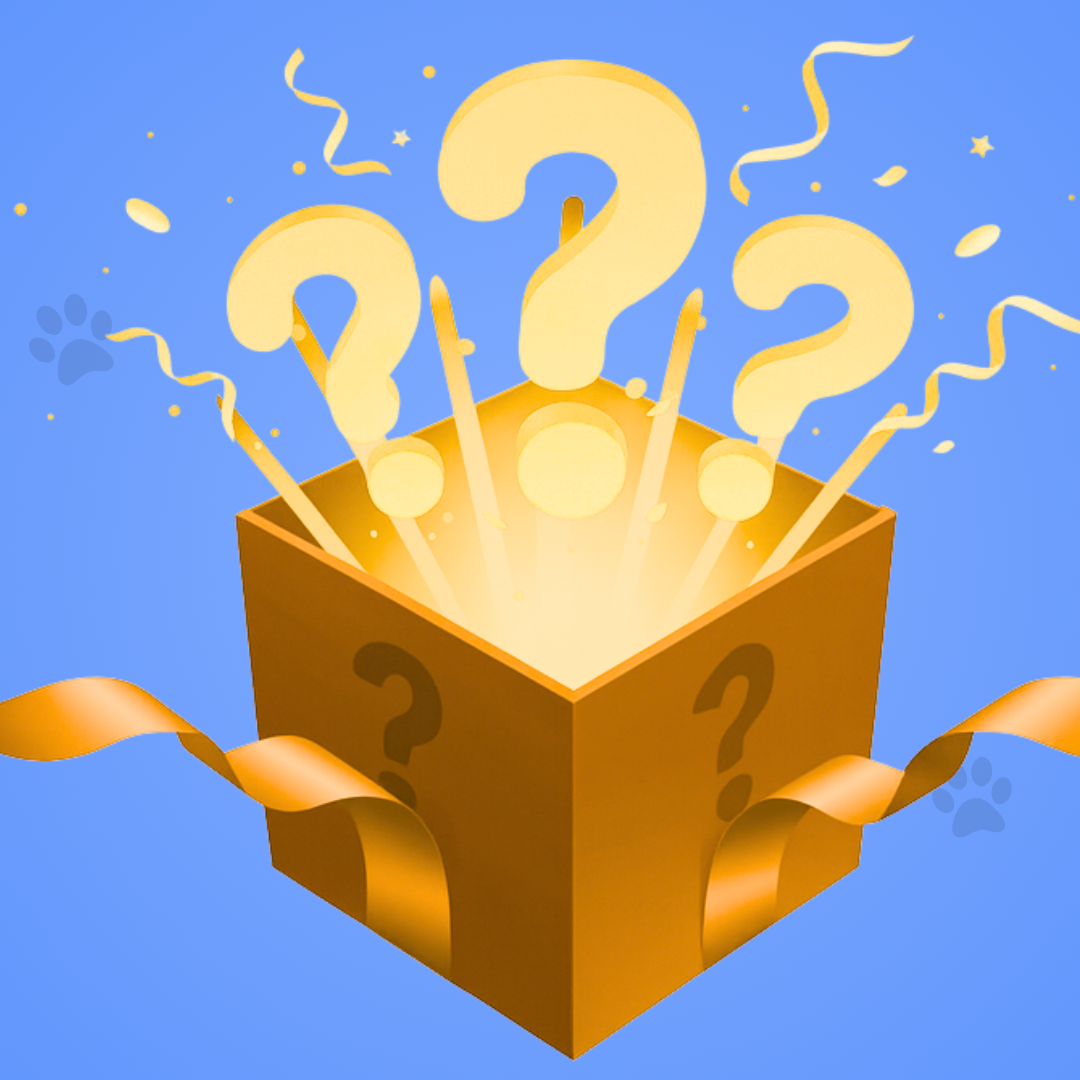 Mystery Gift (20£)