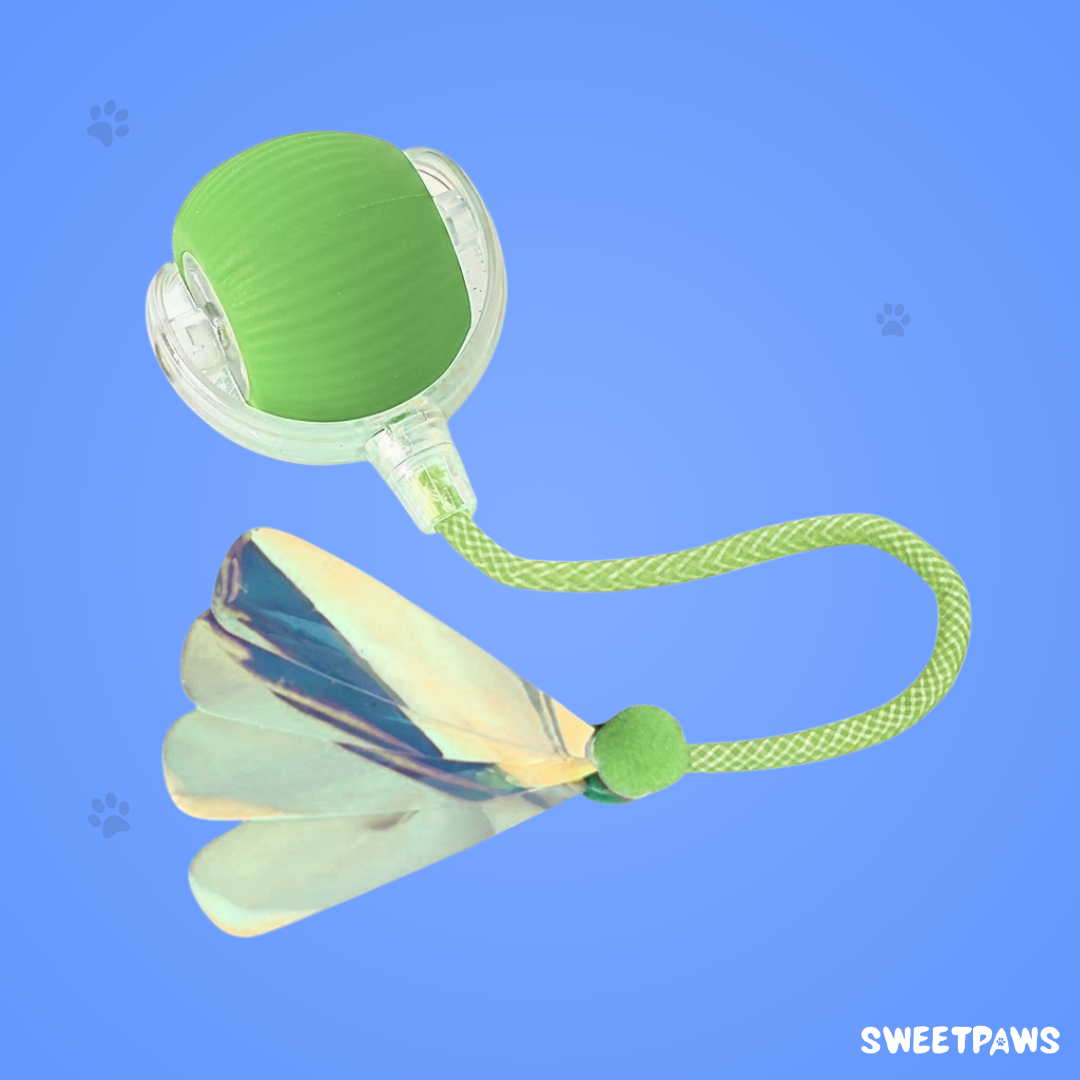 Interactive Ball