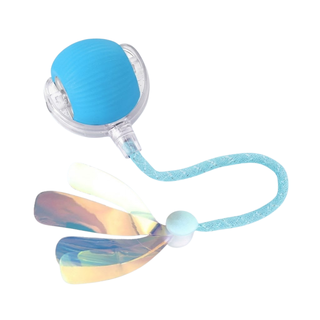 Interactive Ball
