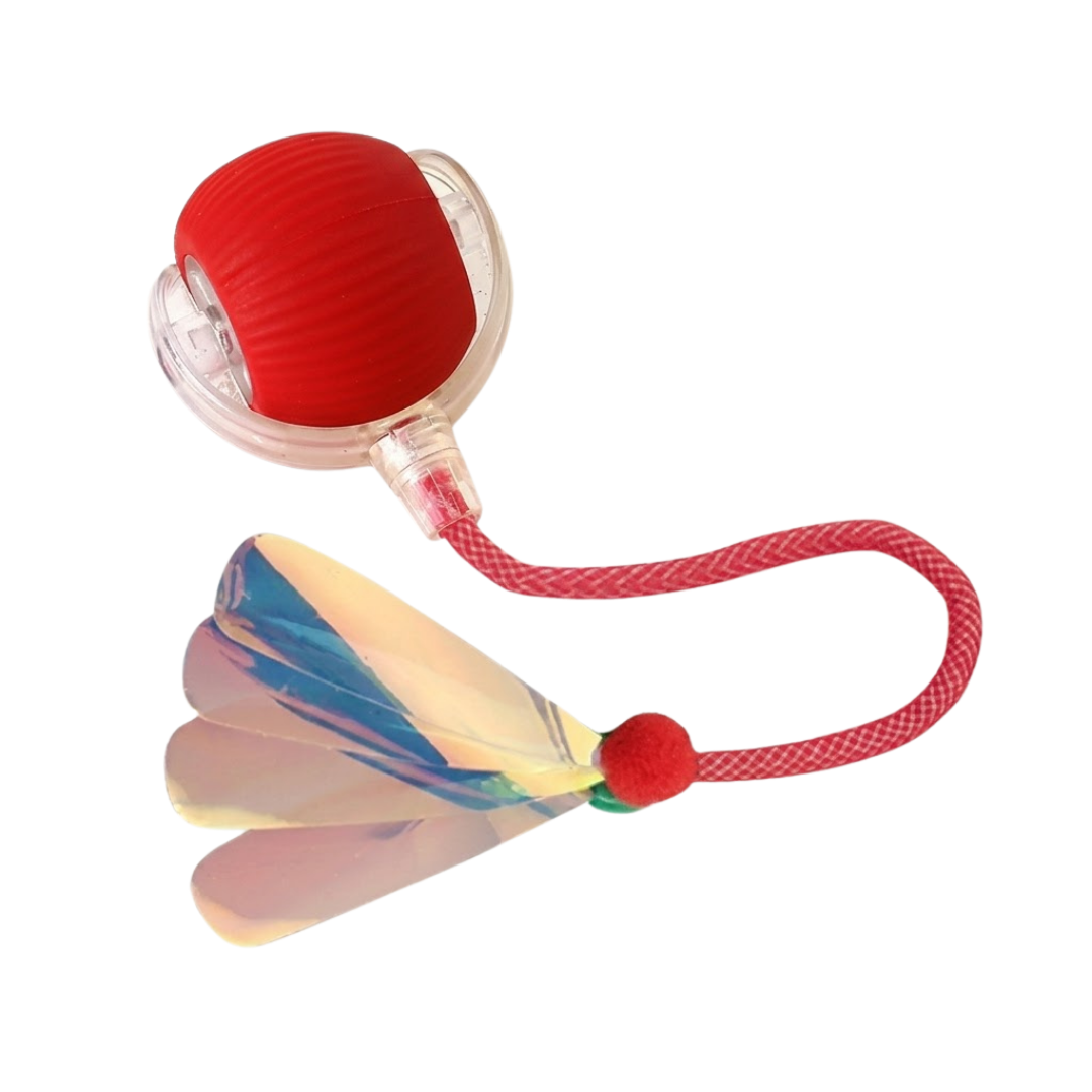 Interactive Ball