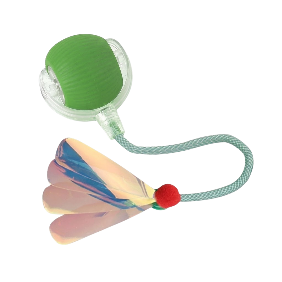 Interactive Ball
