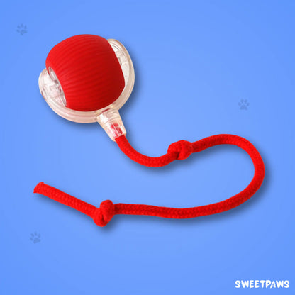 Interactive Ball