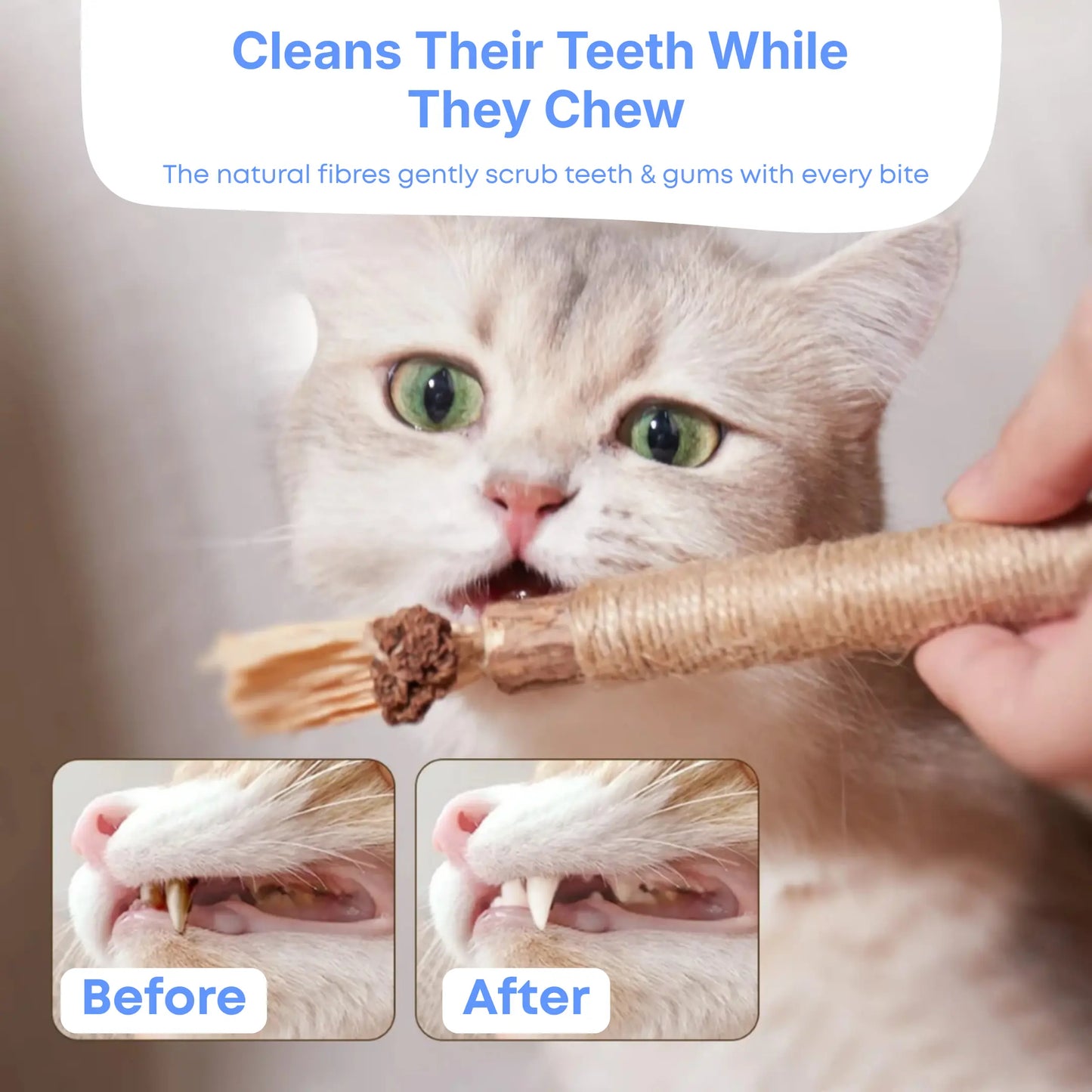 Silvervine Dental Sticks