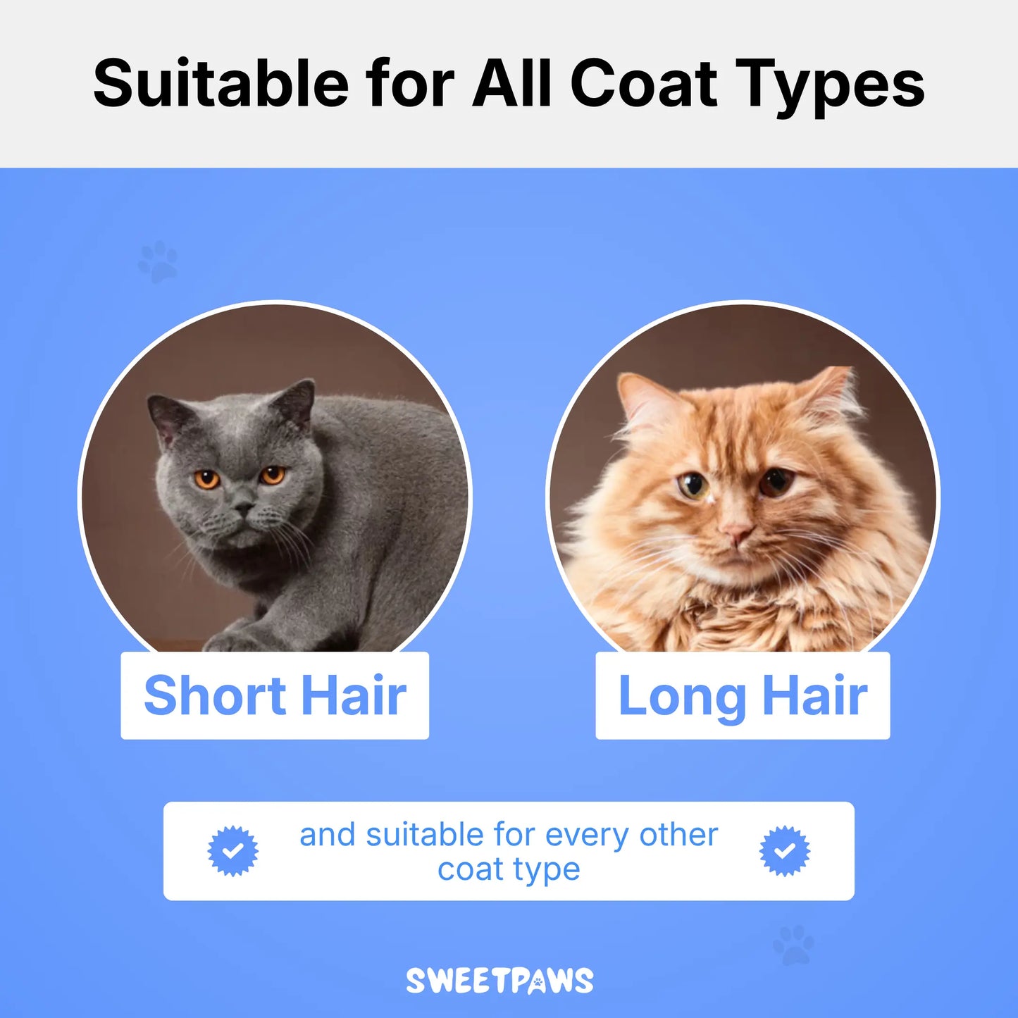 FurFlash Brush - Bestseller