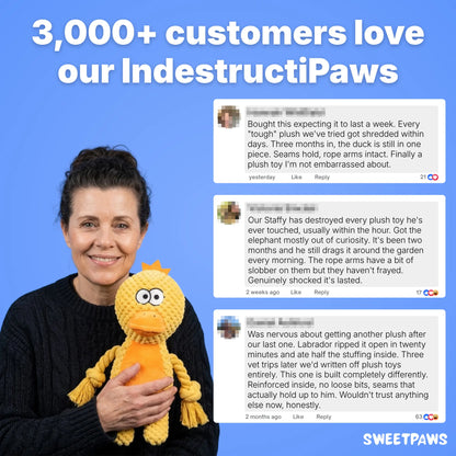 IndestructiPaws Plushie - Bestseller