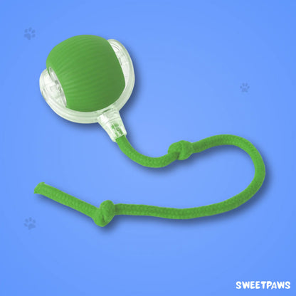 Interactive Ball