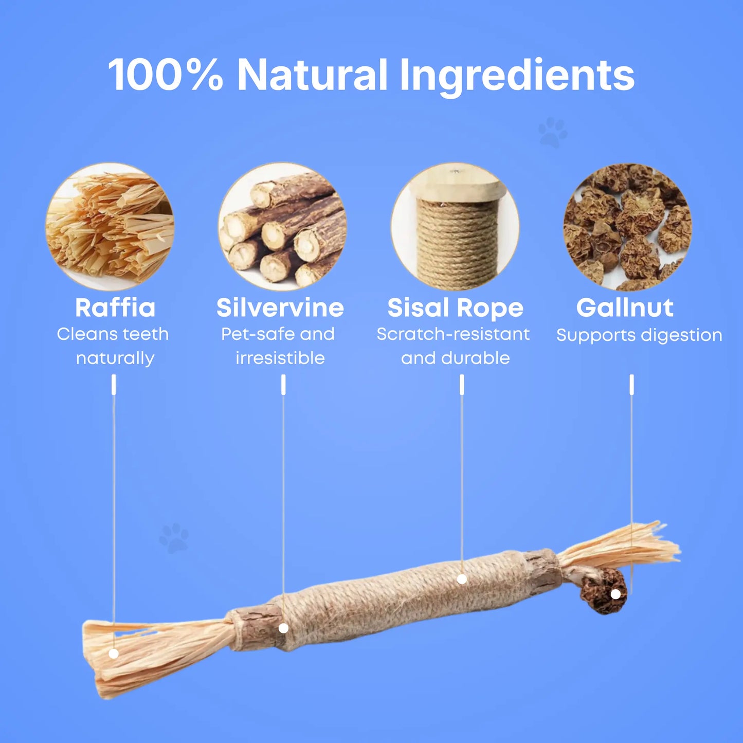Silvervine Dental Sticks
