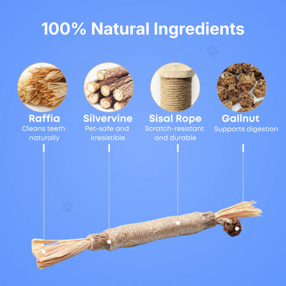 Silvervine Dental Sticks