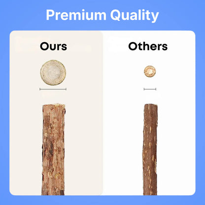 Silvervine Dental Sticks