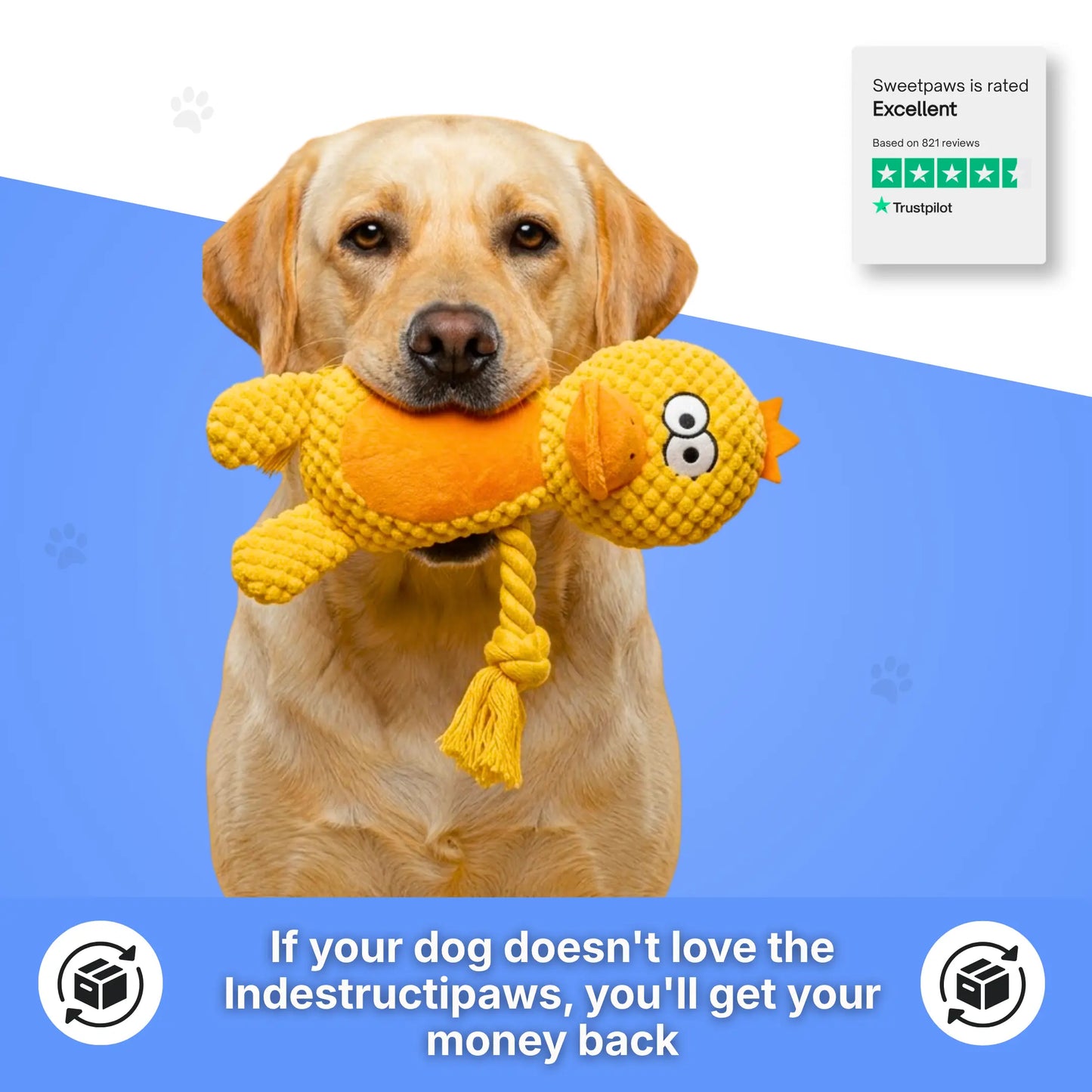 IndestructiPaws Plushie - Bestseller