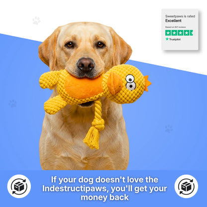 IndestructiPaws Plushie - Bestseller