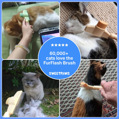 FurFlash Brush - Bestseller