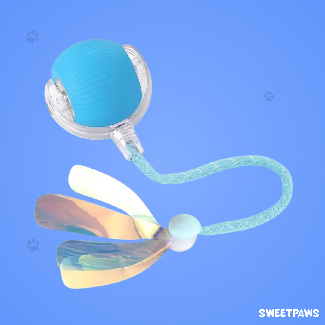 Interactive Ball