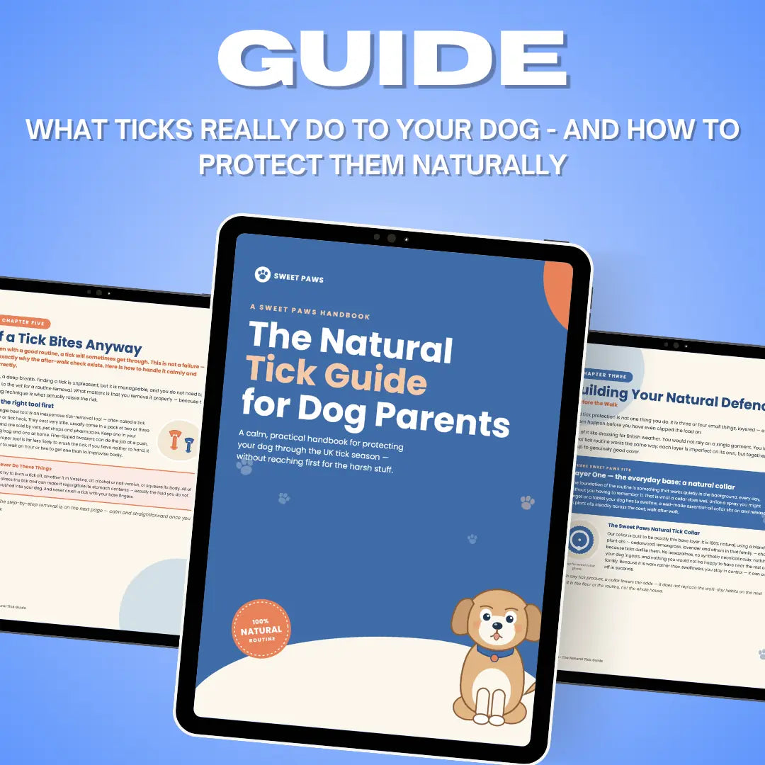 Tick E-book