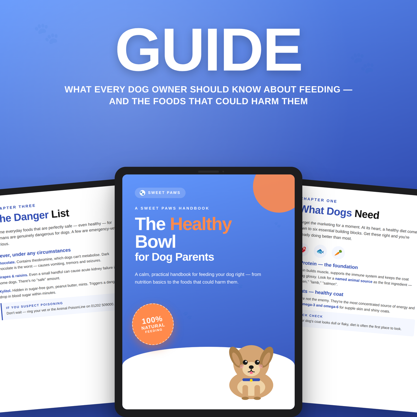 The Healthy Bowl E-Book