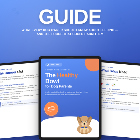 The Healthy Bowl E-Book