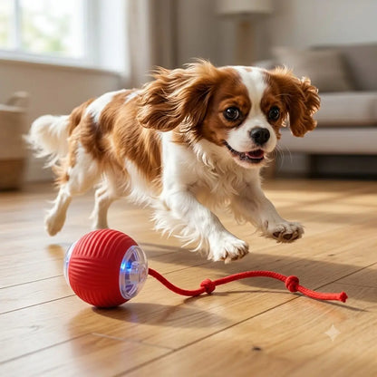 Interactive Ball