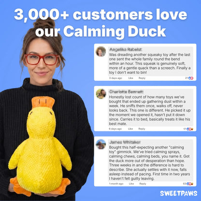Calming Duck