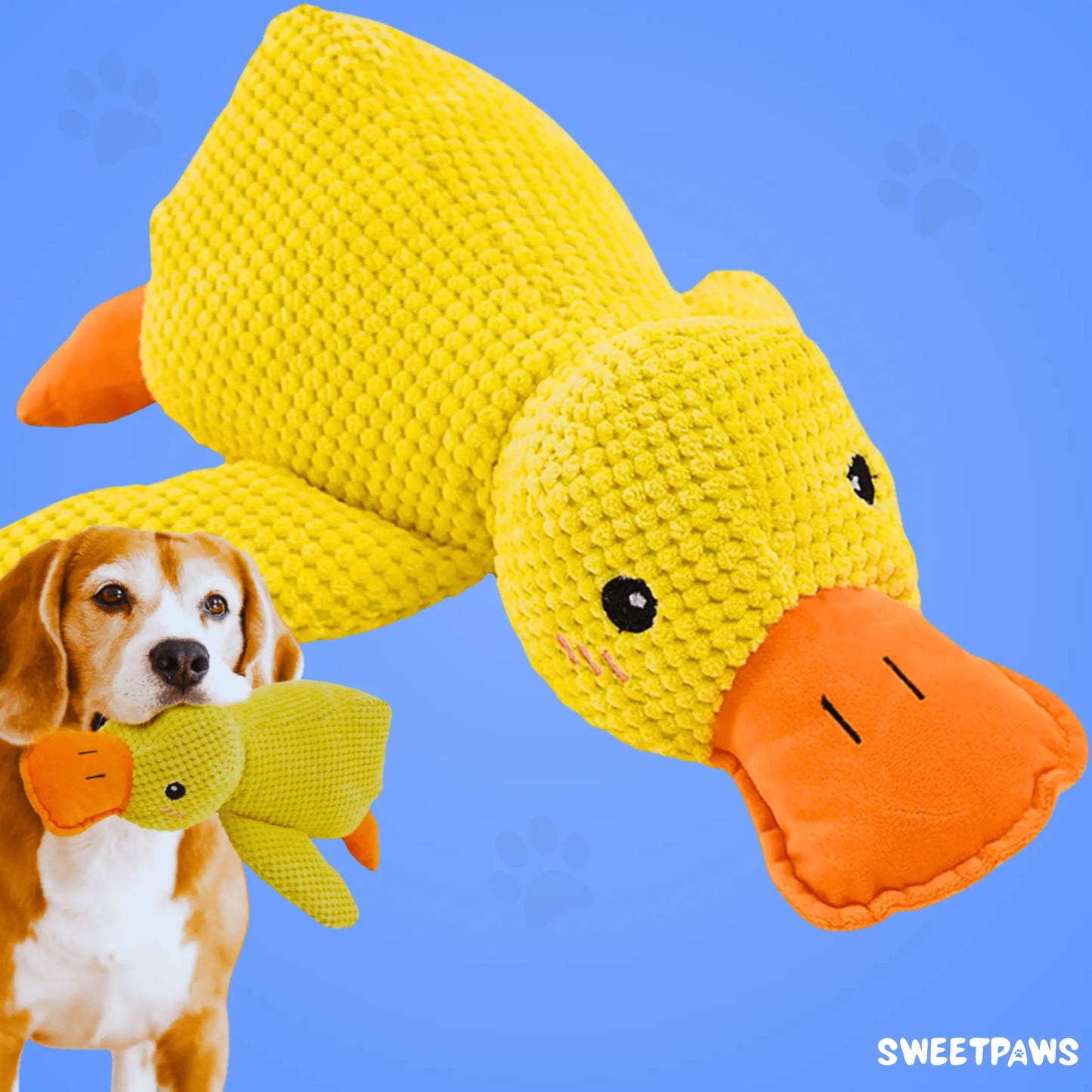 Calming Duck