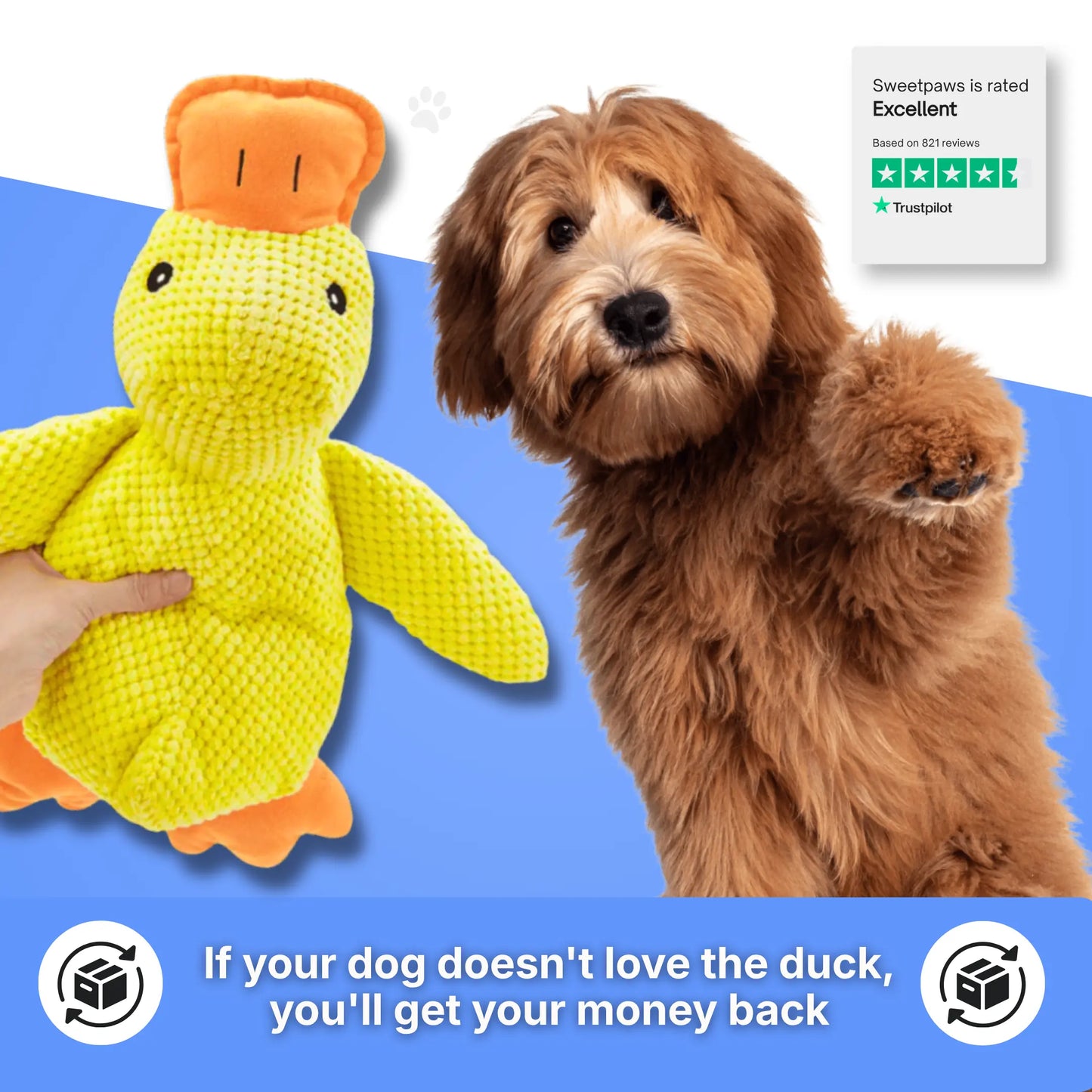 Calming Duck