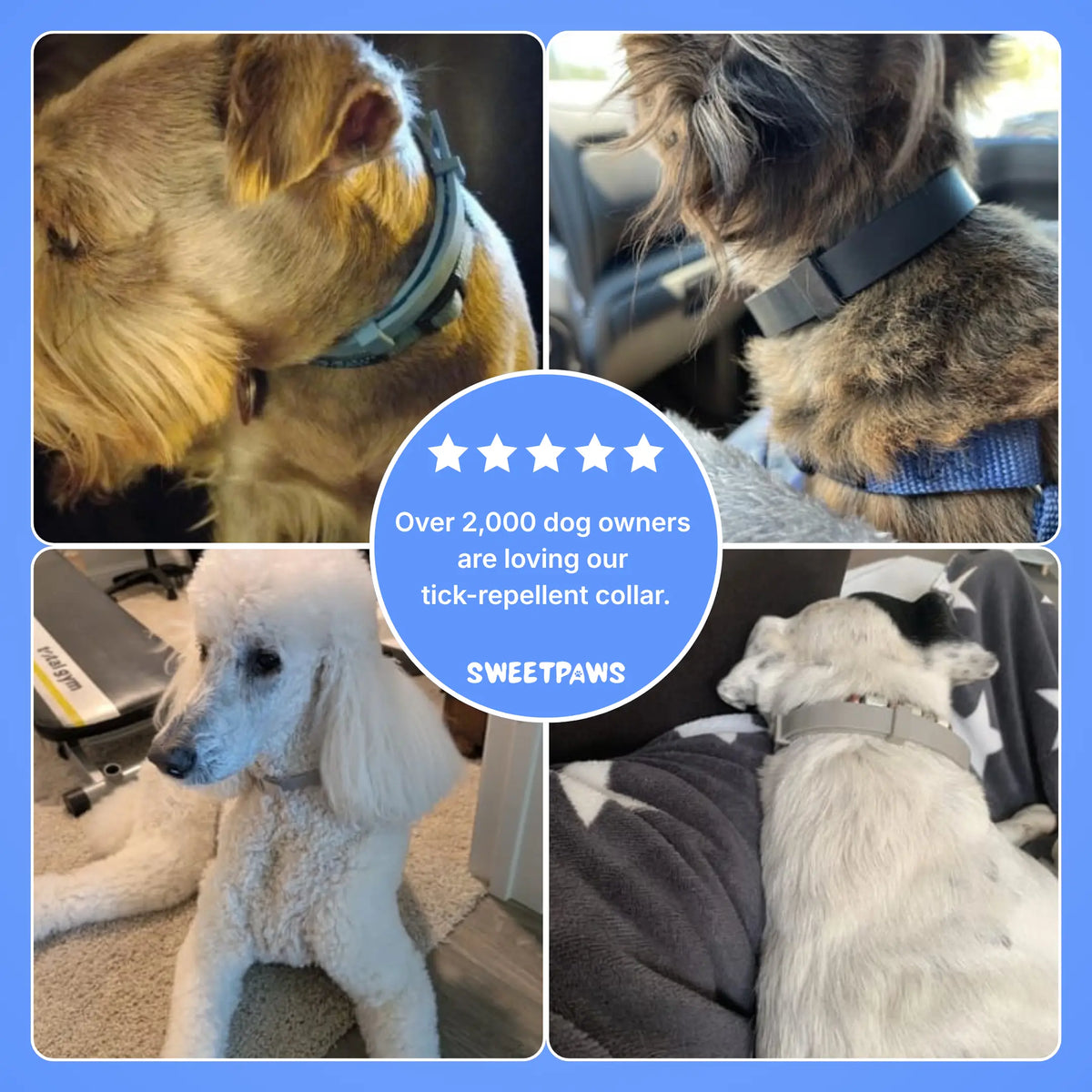 Natural Anti Tick Collar