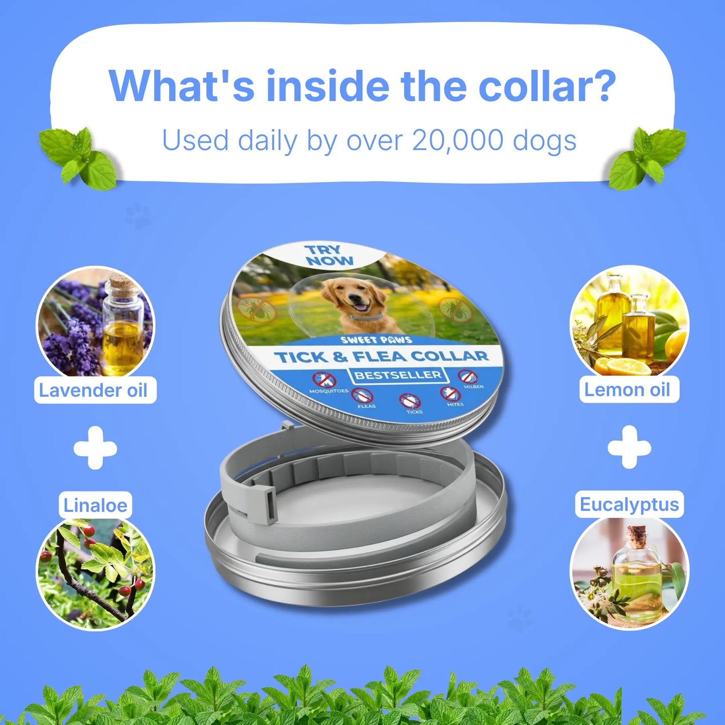 Natural Anti Tick Collar - Bestseller