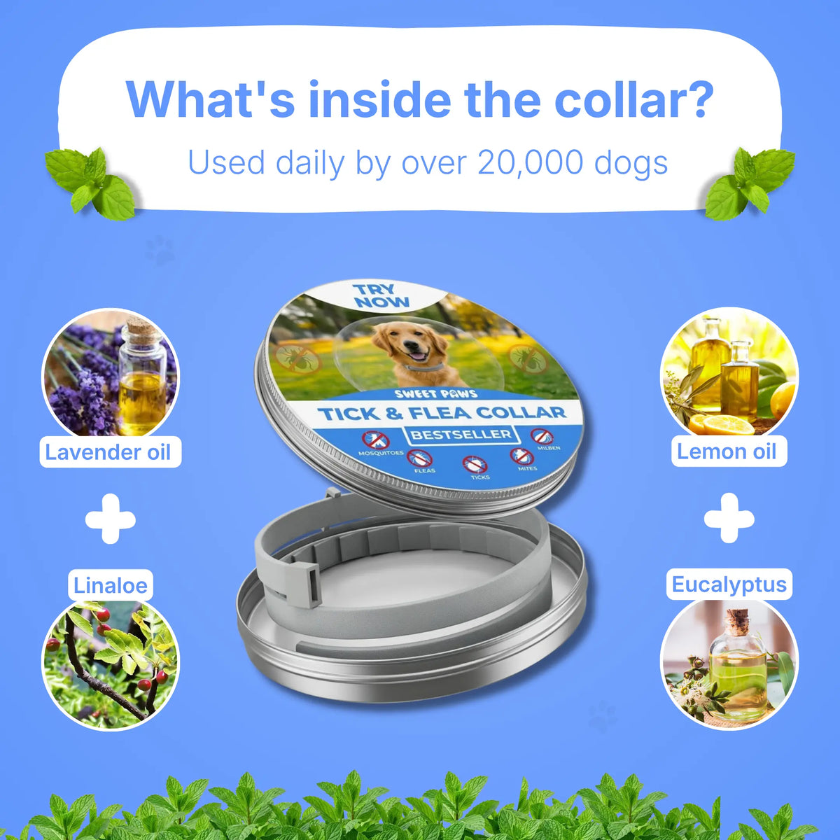 Natural Anti Tick Collar