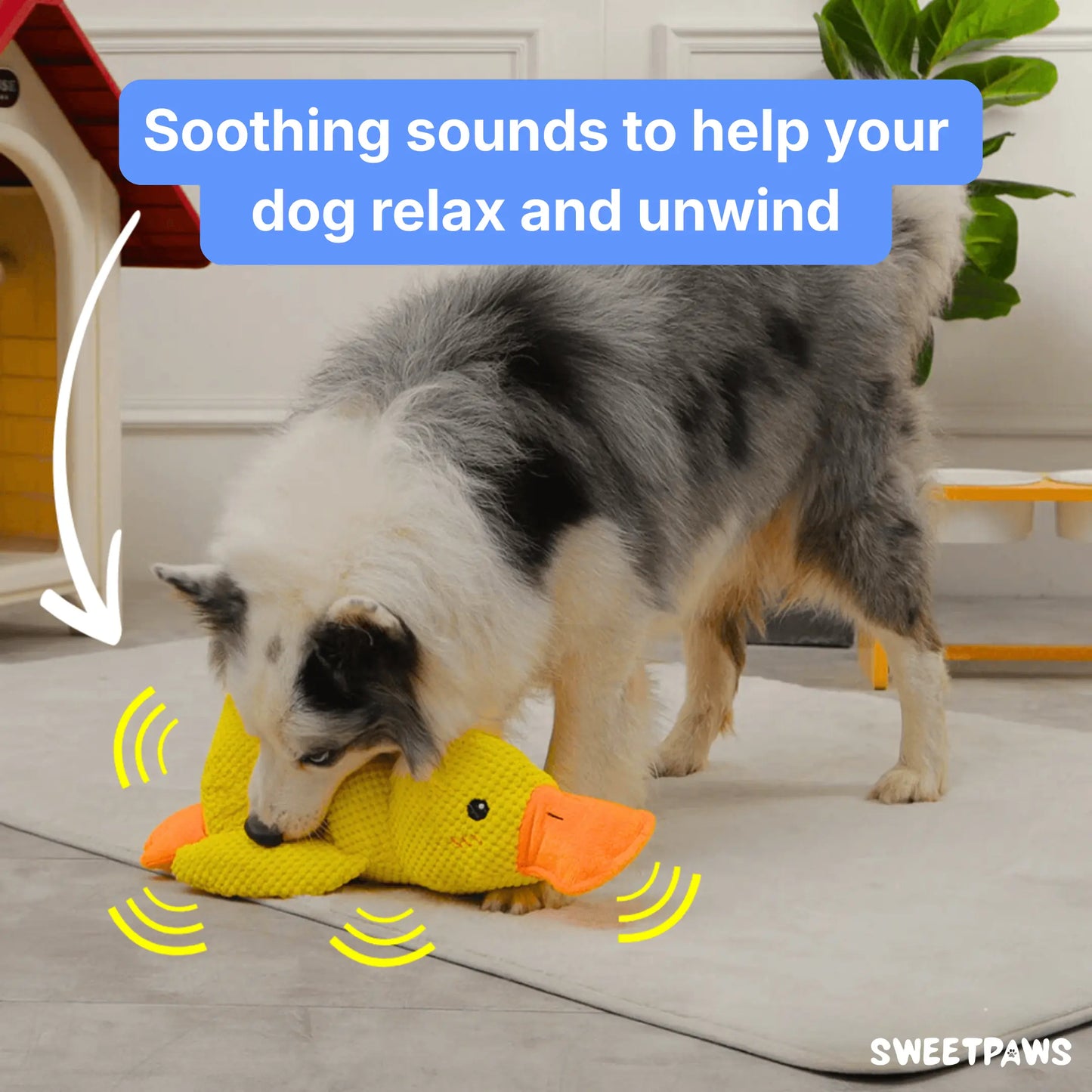 Calming Duck