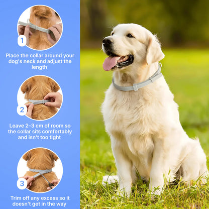 Natural Anti Tick Collar - Bestseller
